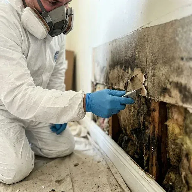 Drywall Texturing results